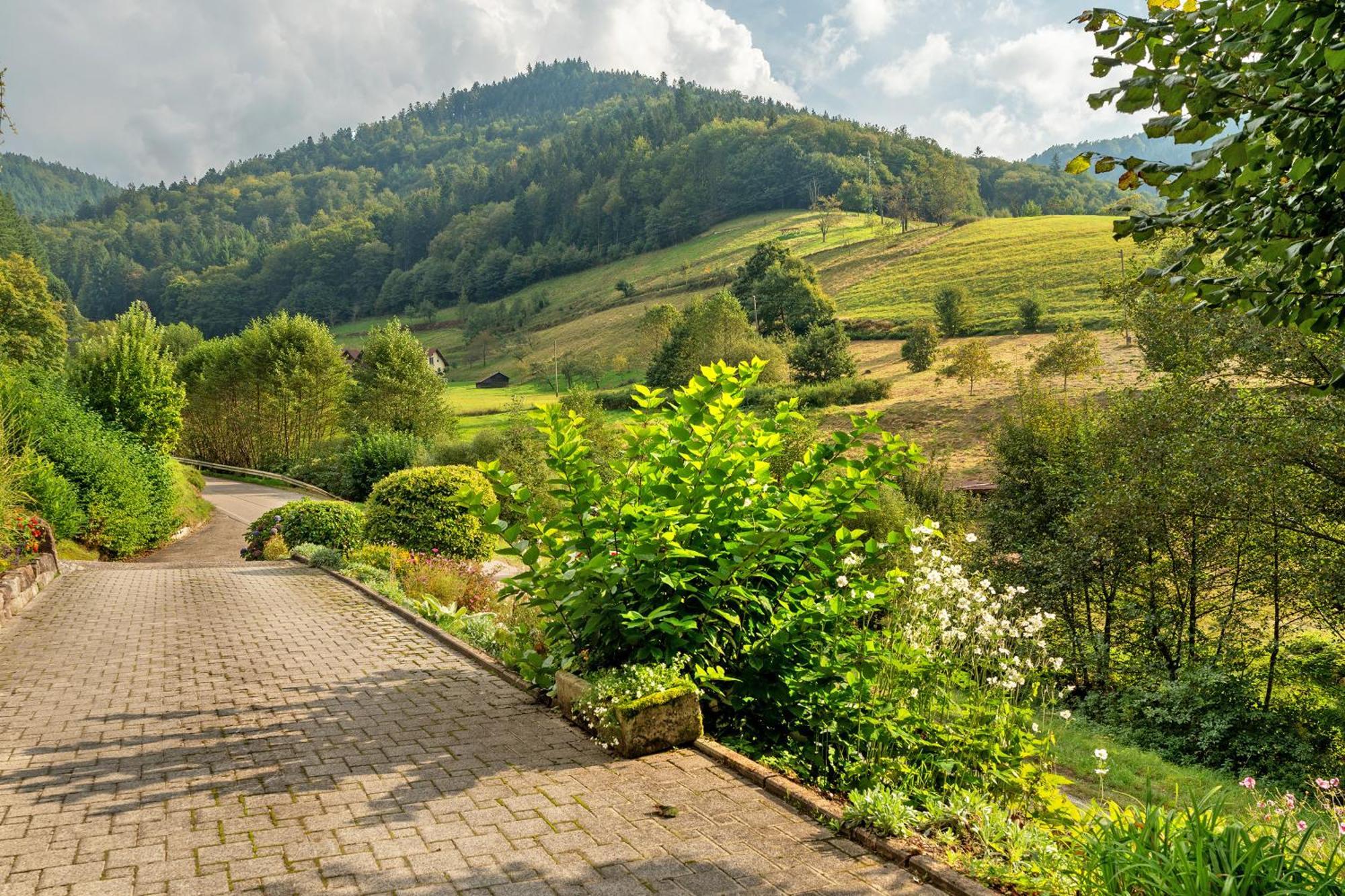 Haus Schindler Apartment Ottenhofen im Schwarzwald Exterior foto