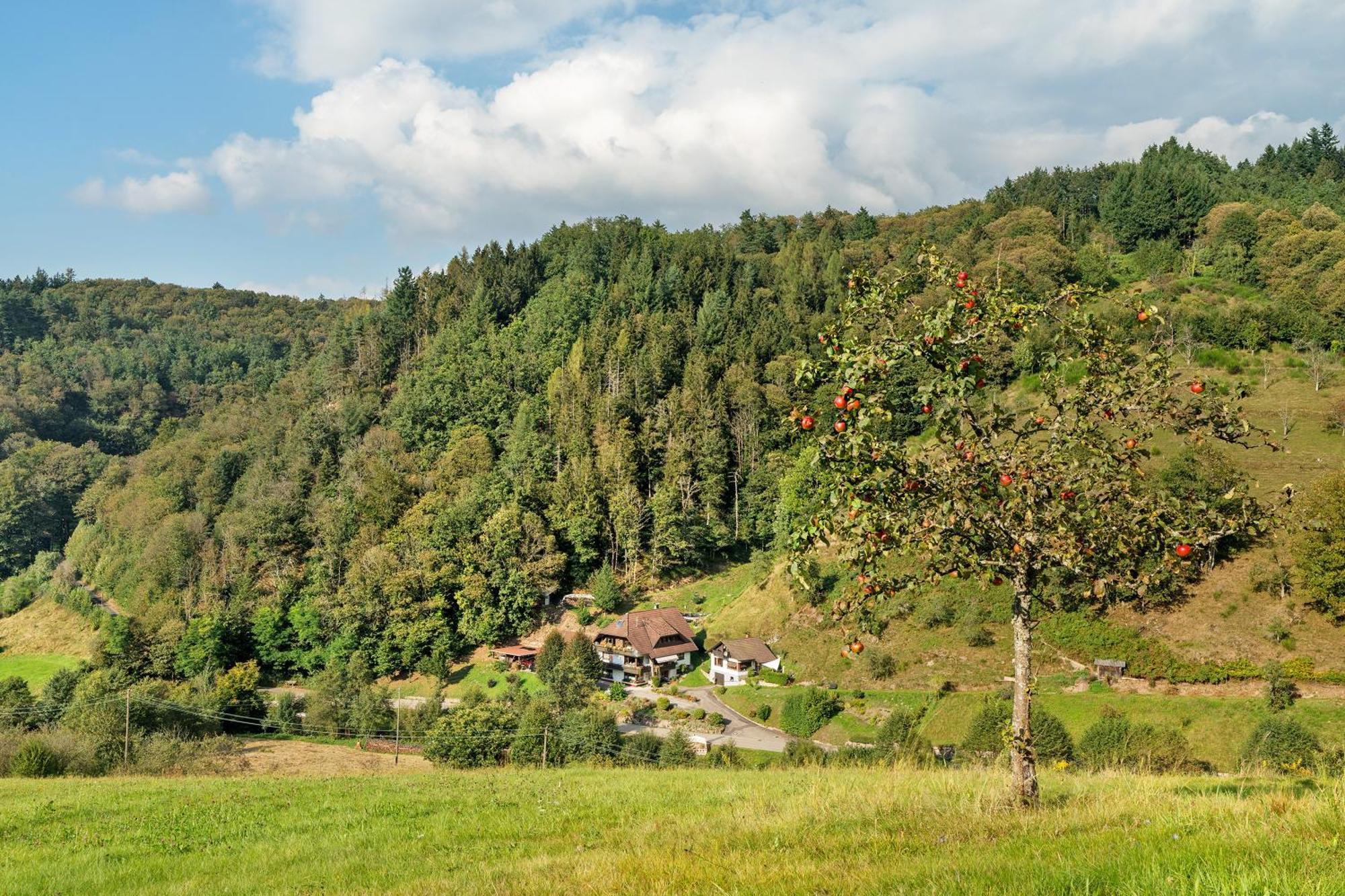 Haus Schindler Apartment Ottenhofen im Schwarzwald Exterior foto